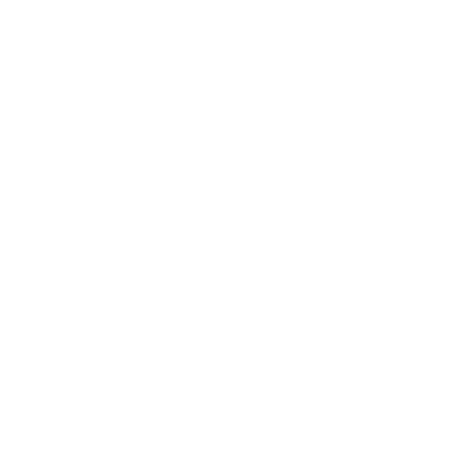 Dong Son bronze drum pattern